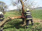 29.4.2012 Technická pomoc, odstranění stromu, V.O. - Jaroměřice