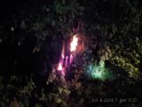 10.8.2017 Požár, strom po zásahu bleskem, Slatina