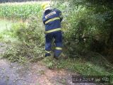 11.8.2017 Technická pomoc, odstranění stromu, Malá Roudka