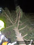 11.12.2017 Technická pomoc, odstranění stromu, V.O. - V.Roudka