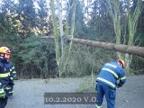 10.2.2020 Technická pomoc, odstranění stromu, V.O. směr V.Roudka