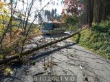 5.10.2021 Technická pomoc, odstranění stromu, V.O. - V.Roudka