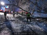 28.11.2021 Technická pomoc, odstranění stromu, Smolná