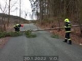 30.1.2022 Technická pomoc, odstranění stromu, V.O.1