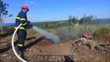 29.7.2024 Požár, lesní porost, Svárov