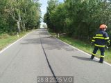 28.8.2025 TP, odstranění stromu, Chlum