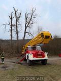 23.3.2026 ZOČ, ořez stromů, Velká Roudka
