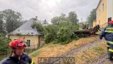 14.7.2026 TP, odstranění stromu, Borotín